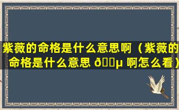 紫薇的命格是什么意思啊（紫薇的命格是什么意思 🐵 啊怎么看）